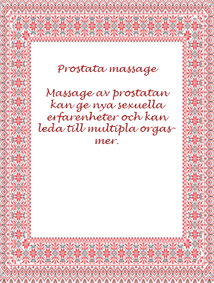 DVD Prostata massage i gruppen BCKER & FILMER / Filmer hos Lustjakt Svenska AB (1144)