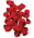 Red rose petals Red rose petals