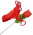 Amour Rose String SM Amour Rose String SM
