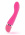 Pink Leo Pink Leo