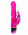 Funny Fix Rabbit Funny Fix Rabbit