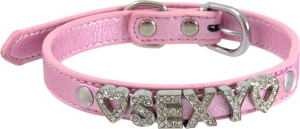 Sexy collar Sexy collar