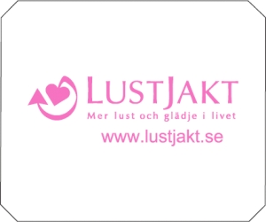Lustjakt isskrapa i gruppen ÖVRIGA PRODUKTER / För återförsäljare hos Lustjakt Svenska AB (2344)