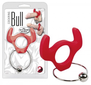 Bull ring Bull ring