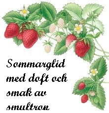 Sommarglid smultron 50 ml i gruppen GLIDMEDEL / Alla glidmedel hos Lustjakt Svenska AB (3494)