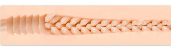 Fleshlight Jenna Haze