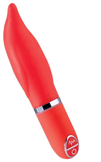 Perfect dolphin vibe