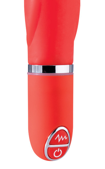 Perfect dolphin vibe