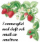 Sommarglid smultron 50 ml