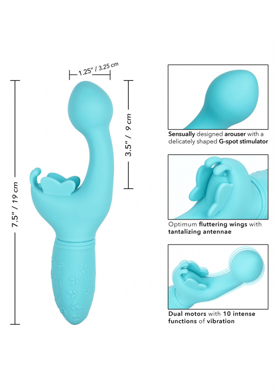 Butterfly Silky Kiss Aqua