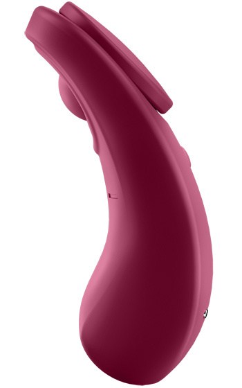 Satisfyer Secret Panty Vibe
