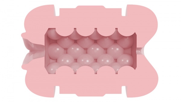 Fleshlight Lady n Butt