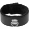 Furry Collar with Leash