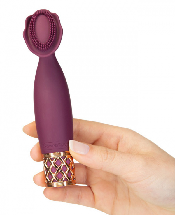Passion Massager