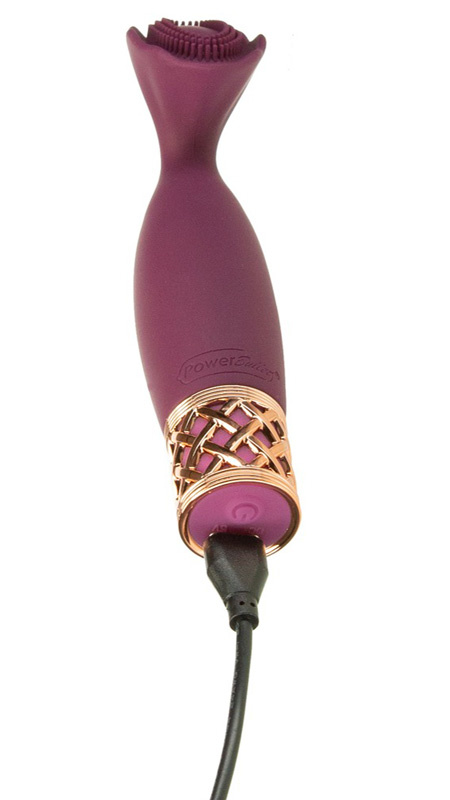 Passion Massager